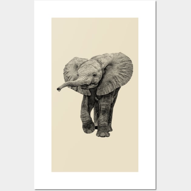 Charming Baby Elephant African Wildlife Wall Art by scotch